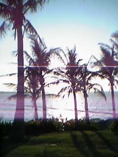 20050925_33753.jpg