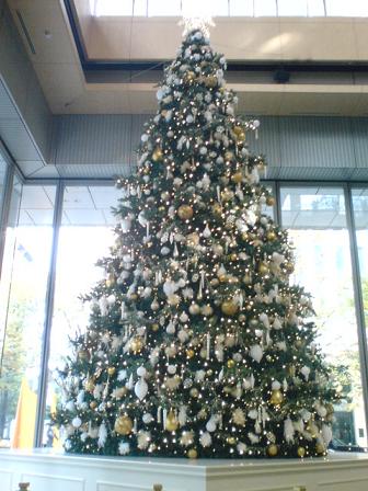 20081118100838.JPG