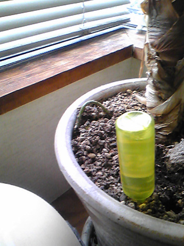Image006.jpg